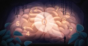 Thumbnail of How the Human Brain Contends With the Strangeness of Zero | Quanta Magazine
