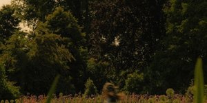 Thumbnail of We never really stop being 17