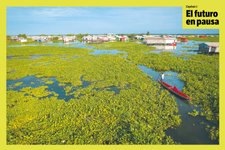 Thumbnail of La historia de Nueva Venecia: el pueblo flotante de Colombia que sobrevive a una peligrosa especie invasora