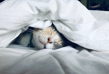 Thumbnail of How to Break the Anxiety- Fear-Avoidance Cycle
