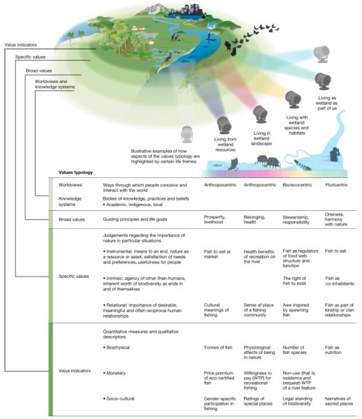 Thumbnail of Diverse values of nature for sustainability - Nature