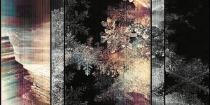 Thumbnail of Snowflakes from Space