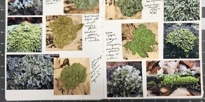 Thumbnail of Everything Can Be Inspiration: On Living a (Somewhat) Curated Life