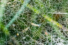 Thumbnail of What is interbeing?