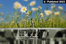 Thumbnail of This Kind of Walk Is Much More Than a Workout (Published 2023)