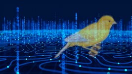 Thumbnail of Canaries in the Coal Mine? Six Facts about the Recent Employment Effects of Artificial Intelligence