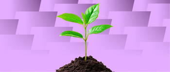 Thumbnail of Founder-Led Growth Playbook