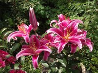 Thumbnail of Six on Saturday 16/8/2025