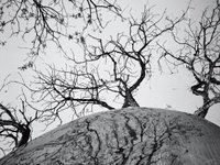 Thumbnail of 'Beijing Is a Nightmare'