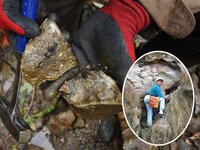 Thumbnail of 少年よ「大石」を抱け 幼少期から化石マニアの研究者 地元愛知で1800万年前の海草化石発見 | Science Portal - 科学技術の最新情報サイト「サイエンスポータル」