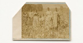 Thumbnail of Actually, Slavery Was Very Bad