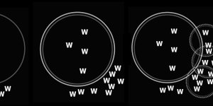 Thumbnail of Networked Cooperative Ecosystems