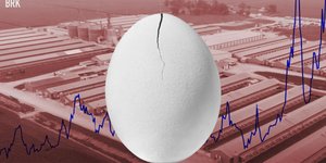 Thumbnail of Cracking Big Egg: Why the Industry’s Narrative Doesn’t Add Up