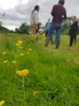 Thumbnail of About Bioregional Learning Centre • Fostering Resilience in South Devon
