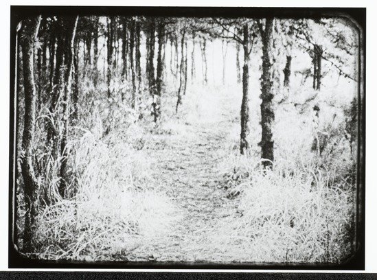 Thumbnail of White Dust From Mongolia (film)