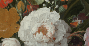 Thumbnail of Collection