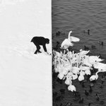 Thumbnail of [non-paywalled issue] The Rabbit Hole 🕳🐇 issue no.44