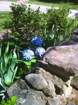 Thumbnail of A Garden Beyond Paradise, by Rumi