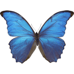 Thumbnail of Aishwarya Khanduja