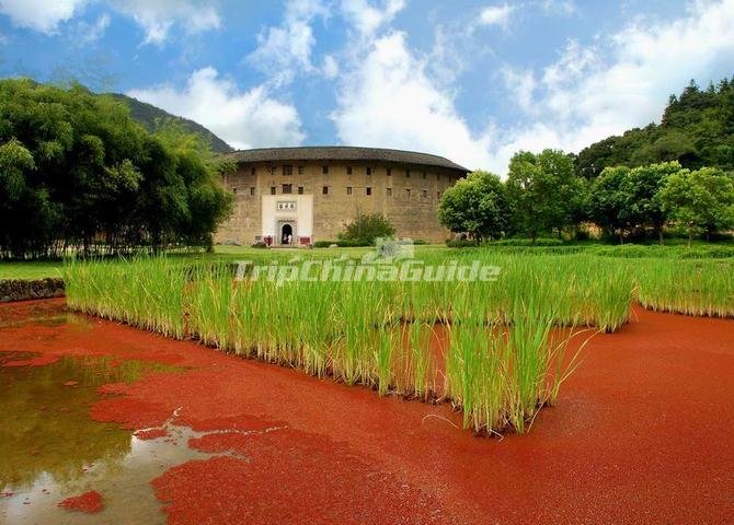 Preview of d20130807172709-jpg