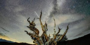 Thumbnail of 3 Ways To Face Uncertainty the Right Way