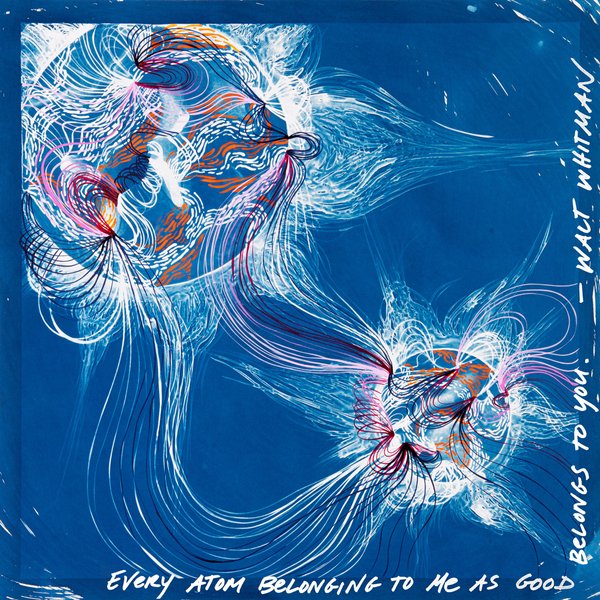 Thumbnail of Notes on Complexity: A Buddhist Scientist on the Murmuration of Being