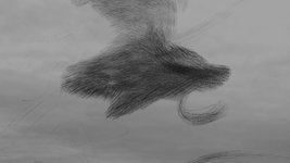 Thumbnail of Murmurations