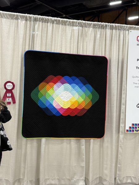 Thumbnail of Some of my favorite quilts seen at QuiltCon 2025