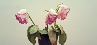 Thumbnail of A Psychologist Explains How To Embrace The ‘Memento Mori’ Philosophy
