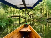 Thumbnail of travel notes of a sensitive system — kening zhu