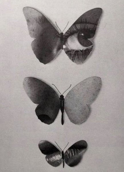 Thumbnail of Image