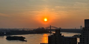 Thumbnail of Tiny, Rogue Strawberries - By T.B.D.