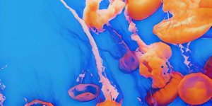 Thumbnail of How Lucid Dreaming Transformed My Health