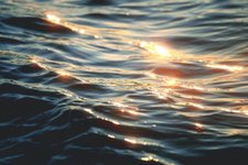 Thumbnail of Within the body you are wearing - Robert K. Hall - Words of Wonder - Mindfulness Association