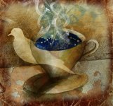 Thumbnail of Short Story Challenge Winning Stories: "Mourning Dove" by Terri McCormick — nycmidnight
