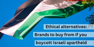 Thumbnail of Brands, Politics, and Ethics: Navigating the Complex Landscape of Morality