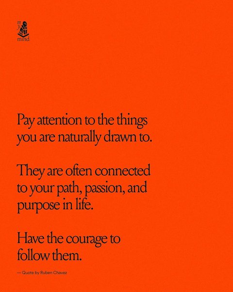 Thumbnail of 💭 On rushing, going deep & following your curiousity