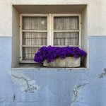 Thumbnail of THE ANALOG REVOLUTION: Hybrid Photography (Part I)