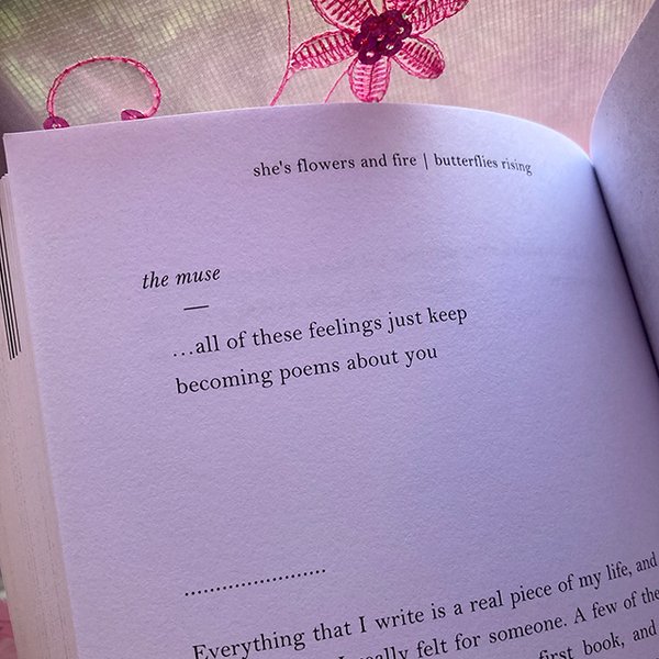 Thumbnail of ...all of these feelings just keep becoming poems about you - butterflies rising