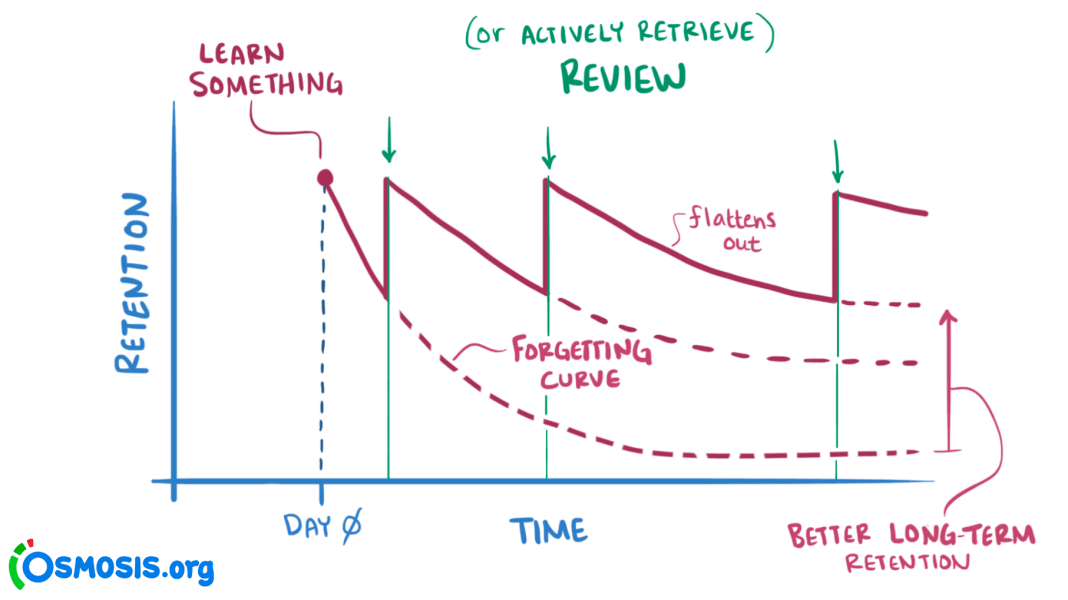Thumbnail of Spaced Repetition Systems Have Gotten Way Better