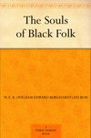 Cover of The Souls of Black Folk