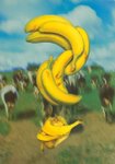 Thumbnail of Henry Gorse Book