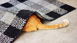 Thumbnail of An Introvert’s Guide to Visibility in the Workplace