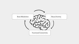 Thumbnail of Neuroenergetics: Your Brain’s Energy Budgeting System