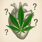 Thumbnail of Cannabis and Cardiovascular Health: 7 Things the JAMA Study Missed - CED Clinic