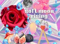 Thumbnail of how to live inside erotic intelligence