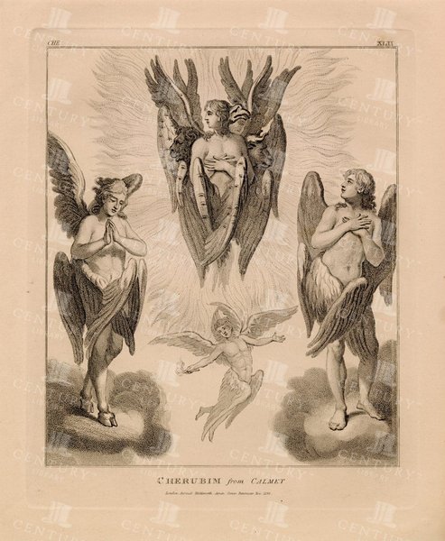 Thumbnail of cherubim - Google Search