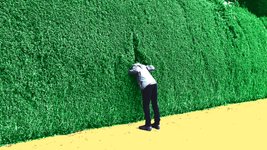 Thumbnail of Why we should embrace 'radical curiosity' and learn to ask better questions