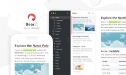Thumbnail of Bear