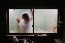 Thumbnail of We Are All Trapped in the “Feed”